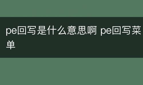 pe回写是什么意思啊 pe回写菜单