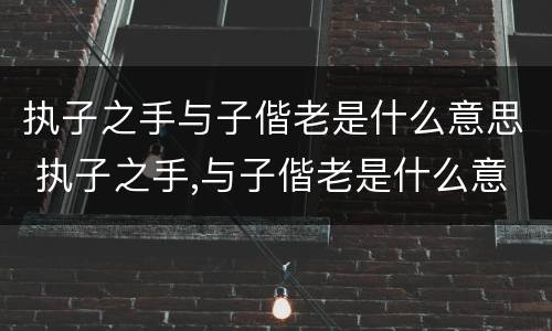 执子之手与子偕老是什么意思 执子之手,与子偕老是什么意思