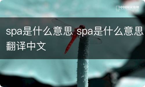 spa是什么意思 spa是什么意思翻译中文