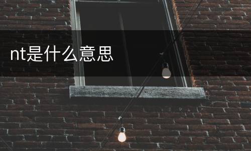 nt是什么意思