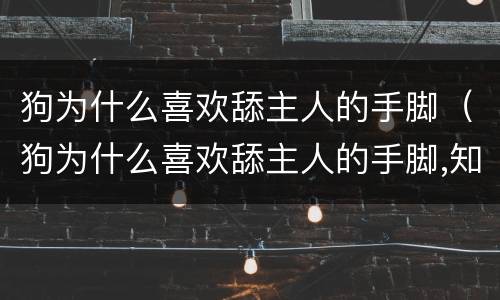 狗为什么喜欢舔主人的手脚（狗为什么喜欢舔主人的手脚,知乎）