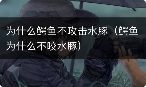 为什么鳄鱼不攻击水豚（鳄鱼为什么不咬水豚）