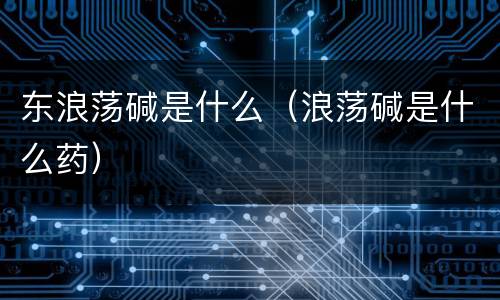 东浪荡碱是什么（浪荡碱是什么药）