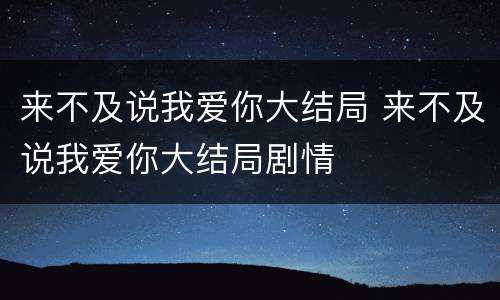 来不及说我爱你大结局 来不及说我爱你大结局剧情