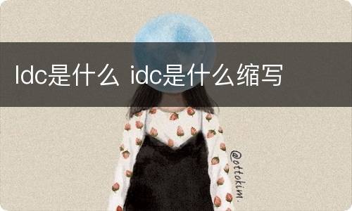 Idc是什么 idc是什么缩写