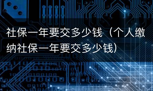 社保一年要交多少钱（个人缴纳社保一年要交多少钱）