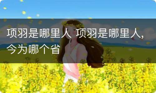 项羽是哪里人 项羽是哪里人,今为哪个省