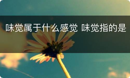 味觉属于什么感觉 味觉指的是
