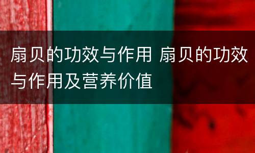 扇贝的功效与作用 扇贝的功效与作用及营养价值