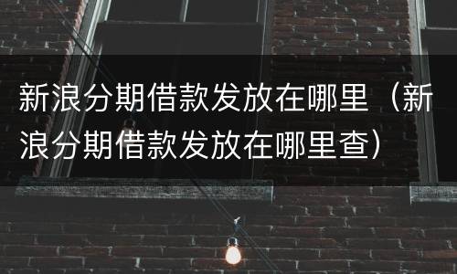 新浪分期借款发放在哪里（新浪分期借款发放在哪里查）