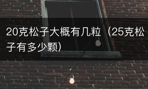 20克松子大概有几粒（25克松子有多少颗）