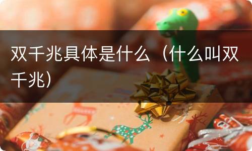 双千兆具体是什么（什么叫双千兆）