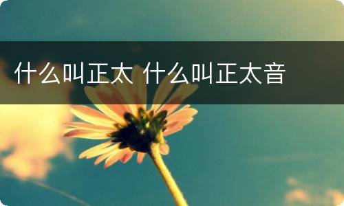 什么叫正太 什么叫正太音