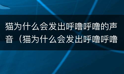猫为什么会发出呼噜呼噜的声音（猫为什么会发出呼噜呼噜的声音?）