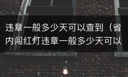 违章一般多少天可以查到（省内闯红灯违章一般多少天可以查到）
