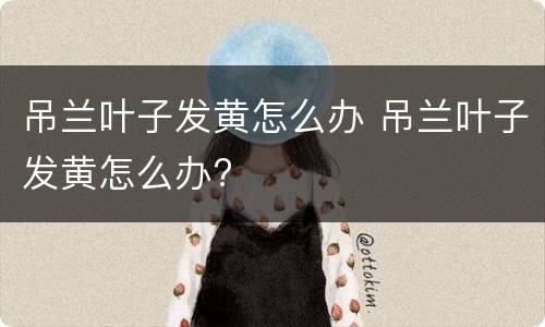 吊兰叶子发黄怎么办 吊兰叶子发黄怎么办?