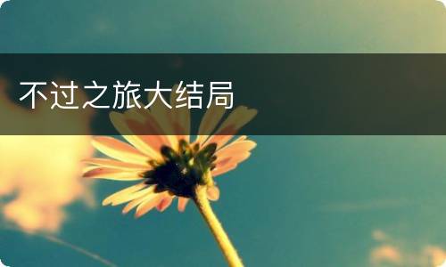 不过之旅大结局