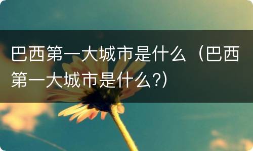 巴西第一大城市是什么（巴西第一大城市是什么?）