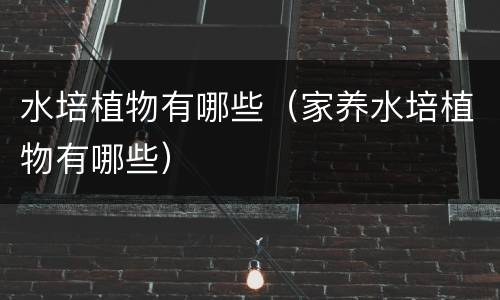 水培植物有哪些（家养水培植物有哪些）