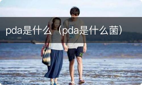 pda是什么（pda是什么菌）