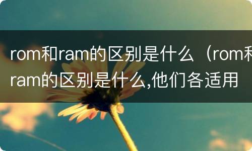 rom和ram的区别是什么（rom和ram的区别是什么,他们各适用于什么场合）