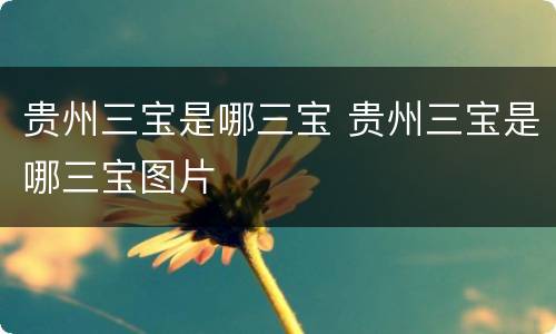 贵州三宝是哪三宝 贵州三宝是哪三宝图片
