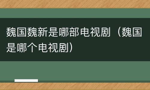 魏国魏新是哪部电视剧（魏国是哪个电视剧）