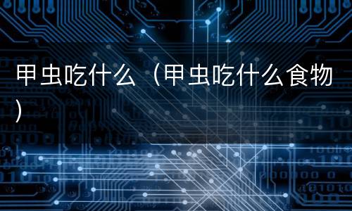 甲虫吃什么（甲虫吃什么食物）