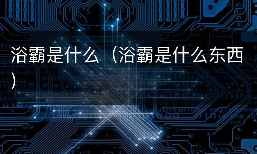 浴霸是什么（浴霸是什么东西）