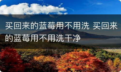 买回来的蓝莓用不用洗 买回来的蓝莓用不用洗干净