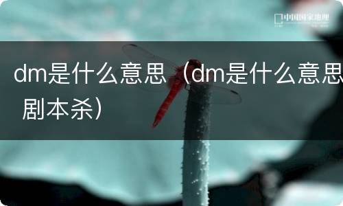 dm是什么意思（dm是什么意思 剧本杀）