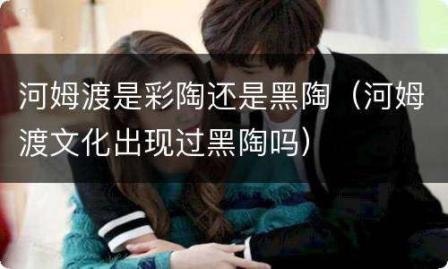 河姆渡是彩陶还是黑陶（河姆渡文化出现过黑陶吗）