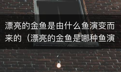 漂亮的金鱼是由什么鱼演变而来的（漂亮的金鱼是哪种鱼演变的）