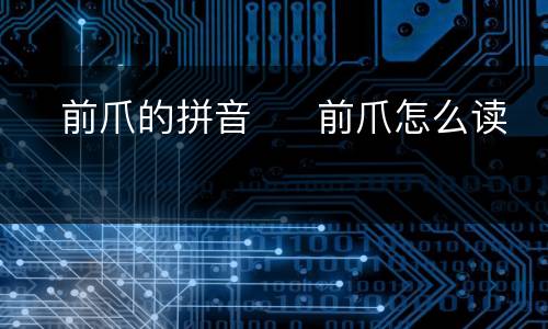 ​前爪的拼音  ​前爪怎么读