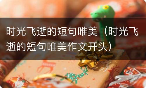 时光飞逝的短句唯美（时光飞逝的短句唯美作文开头）