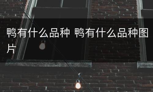 鸭有什么品种 鸭有什么品种图片