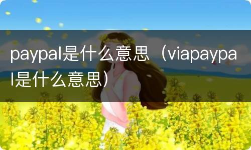 paypal是什么意思（viapaypal是什么意思）