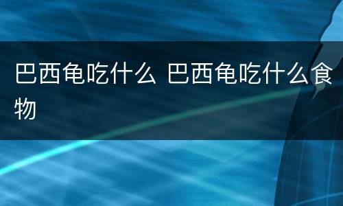 巴西龟吃什么 巴西龟吃什么食物
