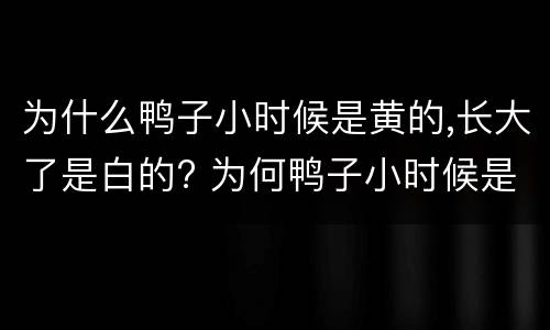 为什么鸭子小时候是黄的,长大了是白的? 为何鸭子小时候是黄的,长大了是白的?