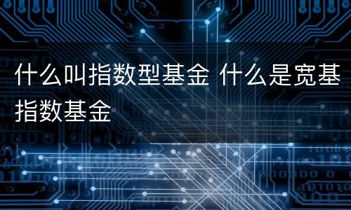 什么叫指数型基金 什么是宽基指数基金