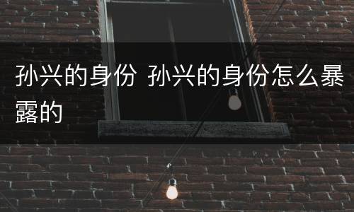 孙兴的身份 孙兴的身份怎么暴露的