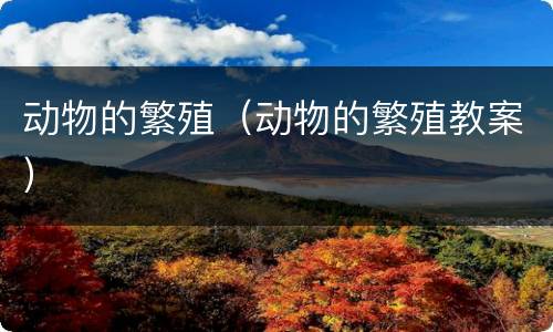 动物的繁殖（动物的繁殖教案）