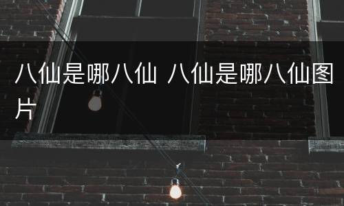 八仙是哪八仙 八仙是哪八仙图片