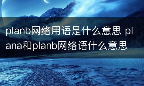 planb网络用语是什么意思 plana和planb网络语什么意思