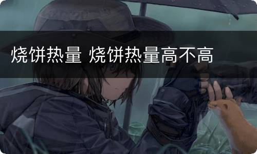 烧饼热量 烧饼热量高不高