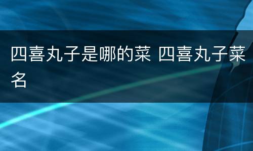 四喜丸子是哪的菜 四喜丸子菜名
