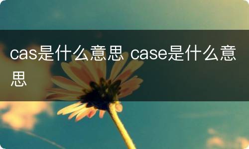 cas是什么意思 case是什么意思