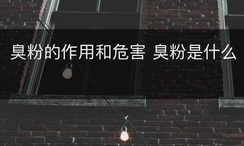 臭粉的作用和危害 臭粉是什么