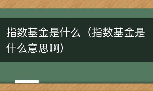 指数基金是什么（指数基金是什么意思啊）
