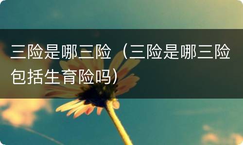 三险是哪三险（三险是哪三险包括生育险吗）